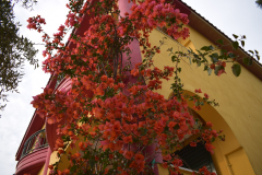 Fotini_Studios_2_Toroni_Sithonia_Halkidiki_ (10)